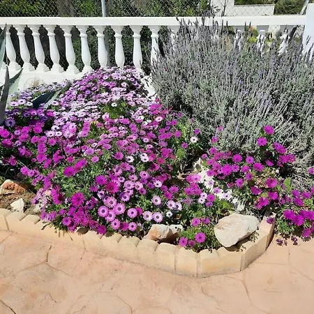 Lovely With Heated Pool And Garden Gandia